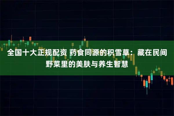 全国十大正规配资 药食同源的积雪草：藏在民间野菜里的美肤与养生智慧