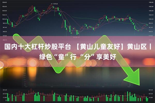 国内十大杠杆炒股平台 【黄山儿童友好】黄山区丨绿色“童”行 “分”享美好