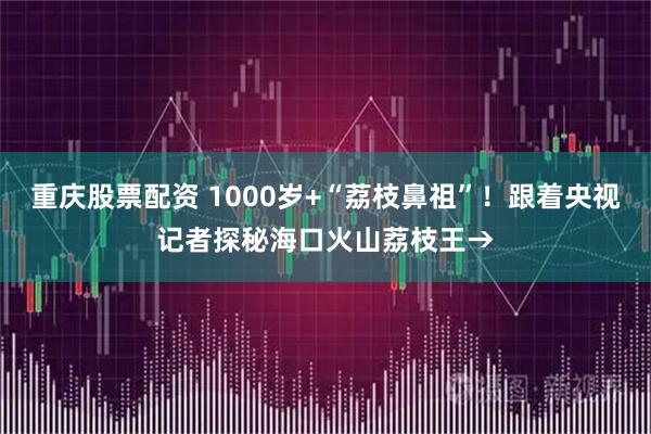 重庆股票配资 1000岁+“荔枝鼻祖”！跟着央视记者探秘海口火山荔枝王→
